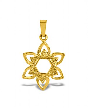 14K Gold Star of David Pendant - Hearts