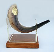 Israeli Shofar (Rams Horn)