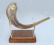 Israeli Shofar (Rams Horn)