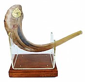 Shofars