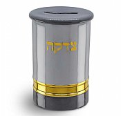 Stainless Steel Tzedakah Box with Decal - Grey/Gold