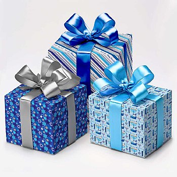 Chanukah Gift Wrapping Paper - Display Case